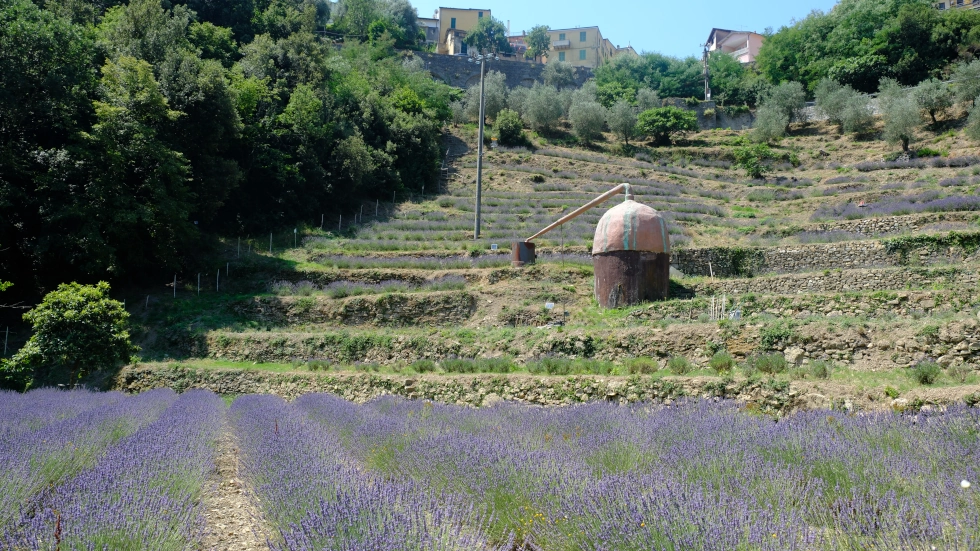 La Casa di Remo